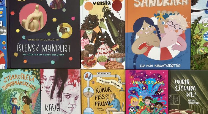 Mynd-med-frett-um-AUDI-25